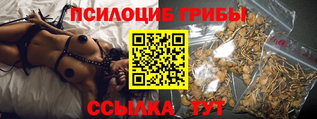 Псилоцибиновые грибы MAGIC MUSHROOMS Мурманск
